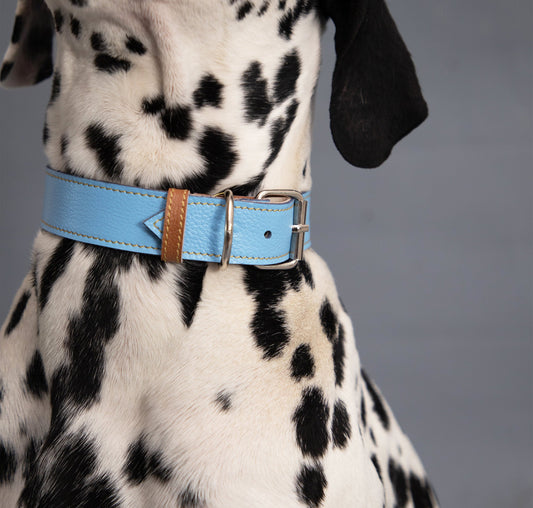 Collar para Perro Cuero Azul Miel