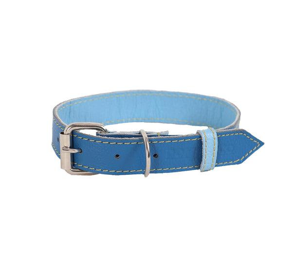 Collar para Perro Cuero Azul Cobalto