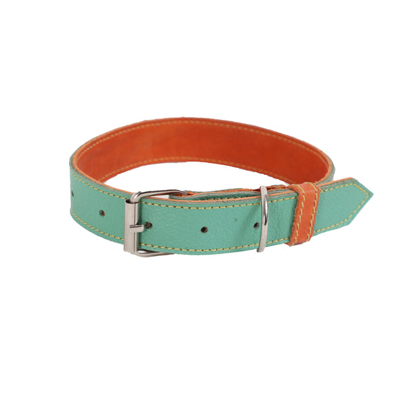 Collar para Perro Cuero Menta Naranja