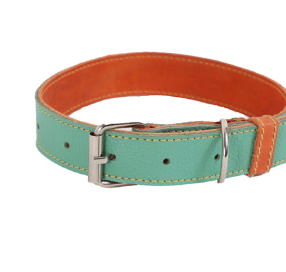 Collar para Perro Cuero Menta Naranja