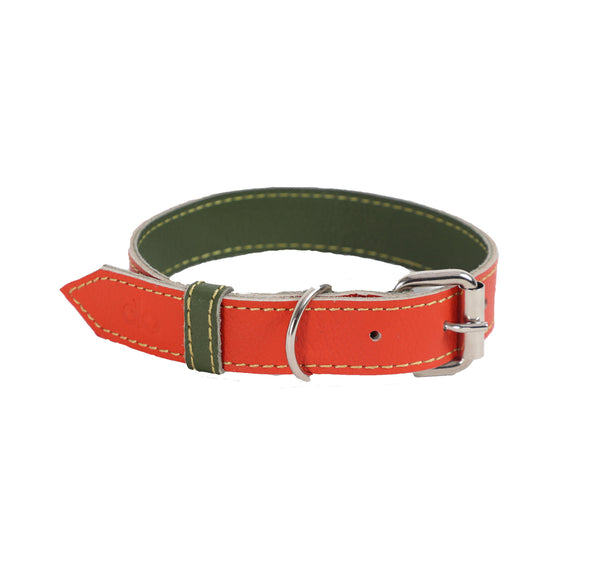 Collar para Perro Cuero Naranja Verde