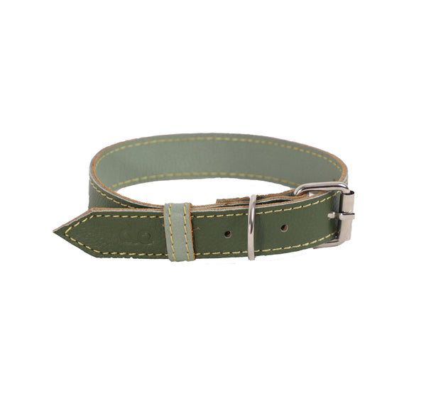 Collar para Perro Cuero Verde Pistacho