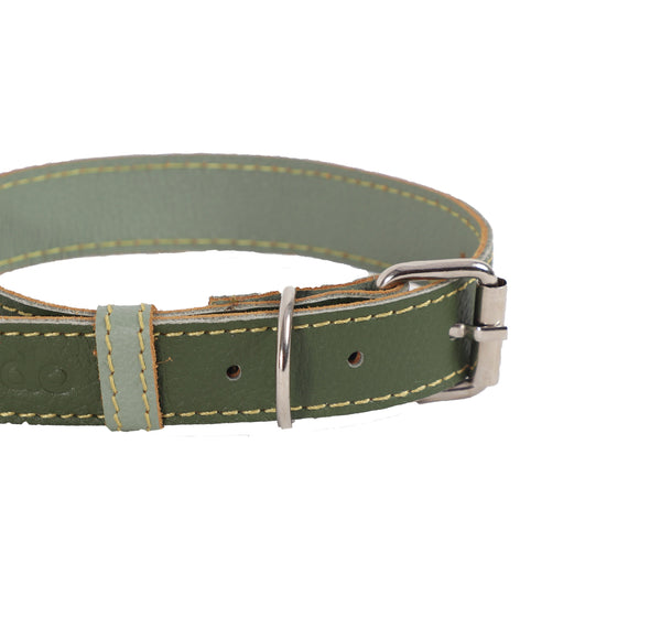 Collar para Perro Cuero Verde Pistacho