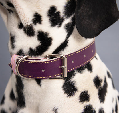 Collar para Perro Cuero Morado Rosado