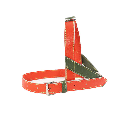 Arnes para Perro Cuero Naranja Verde