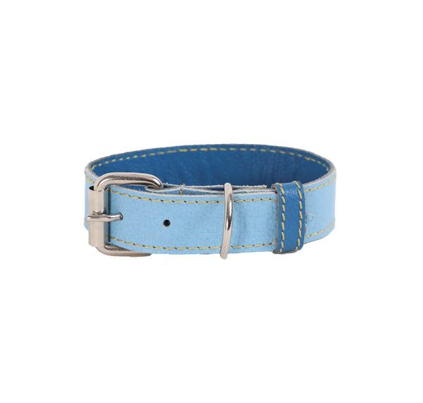 Collar para Perro Cuero Baby Blue