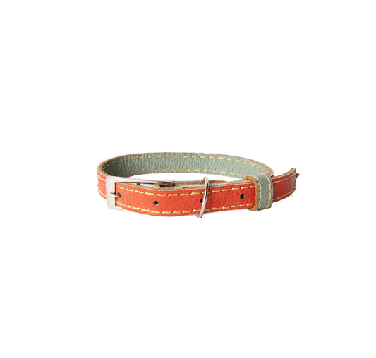 Collar para Gato Cuero Naranja Pistacho