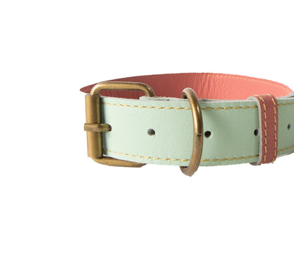 Collar para Perro Cuero Menta Salmon