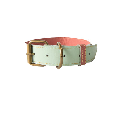 Collar para Perro Cuero Menta Salmon