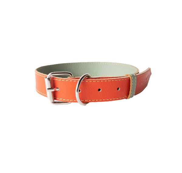 Collar para Perro Cuero Naranja Pistacho