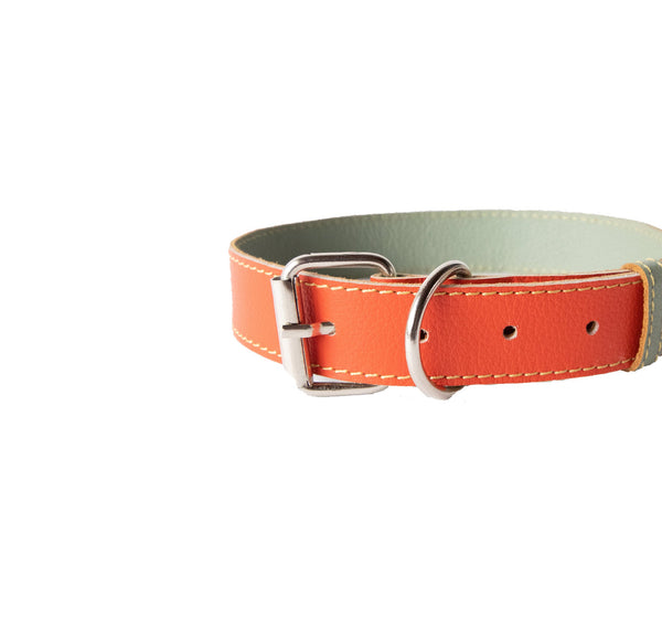 Collar para Perro Cuero Naranja Pistacho