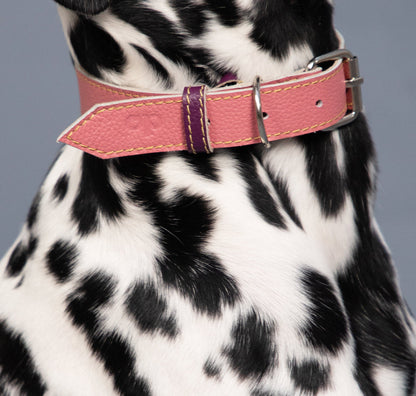 Collar para Perro Cuero Palo Rosa