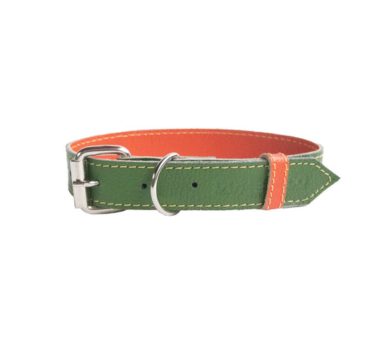 Collar para Perro Cuero Verde Naranja