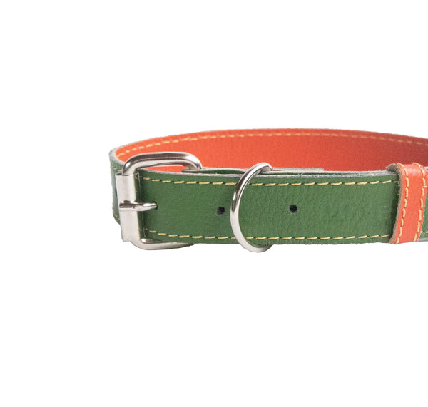 Collar para Perro Cuero Verde Naranja